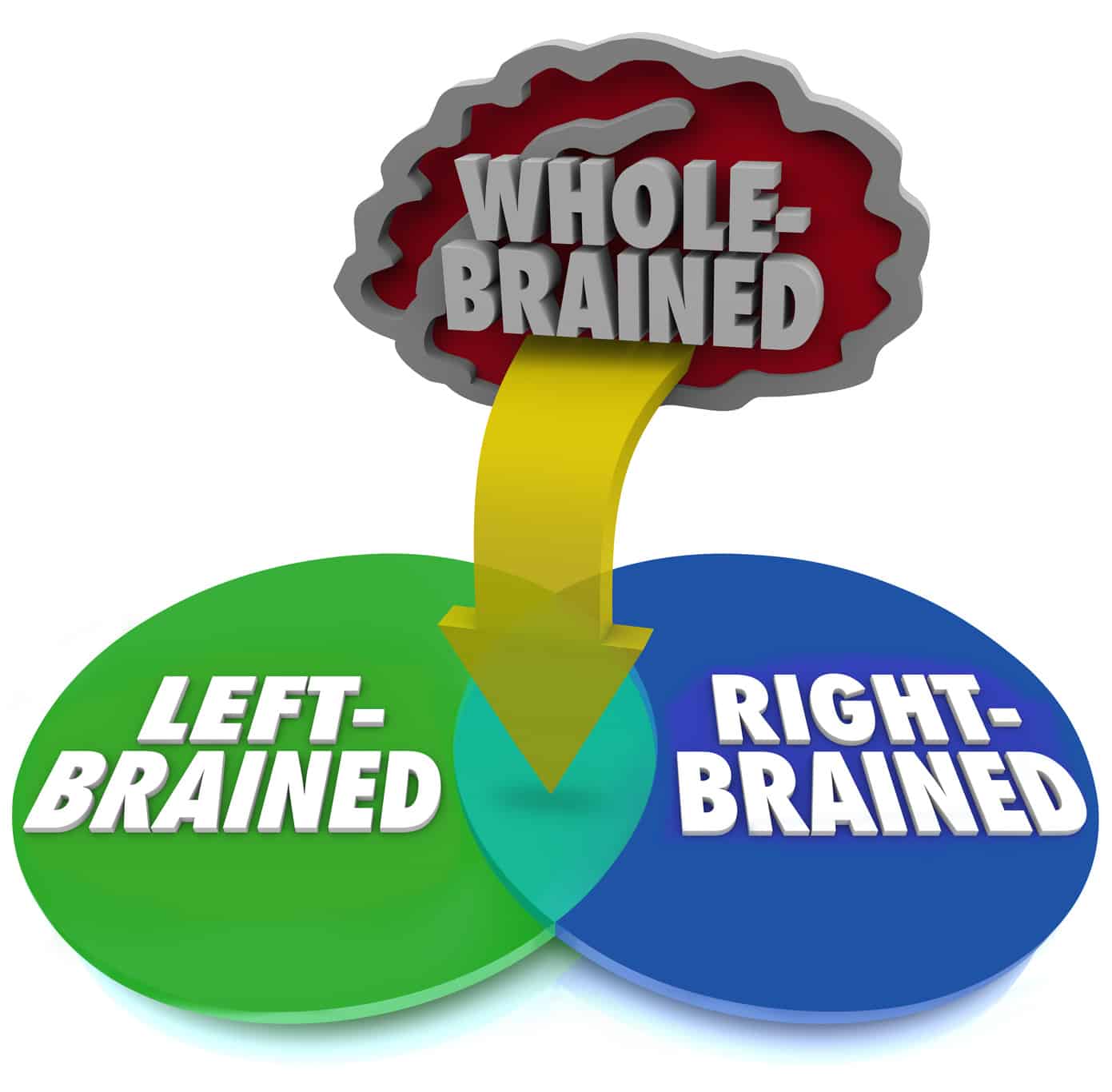 Right brained left brained. Are you right or left brain. left brained people. left or right. left brain right brain.